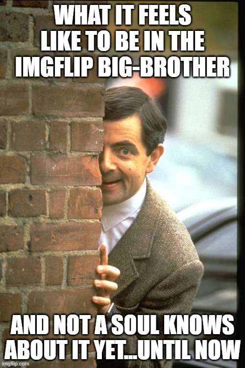 there is a Big-Brother player among us | WHAT IT FEELS LIKE TO BE IN THE IMGFLIP BIG-BROTHER; AND NOT A SOUL KNOWS ABOUT IT YET...UNTIL NOW | image tagged in sneaky bean | made w/ Imgflip meme maker