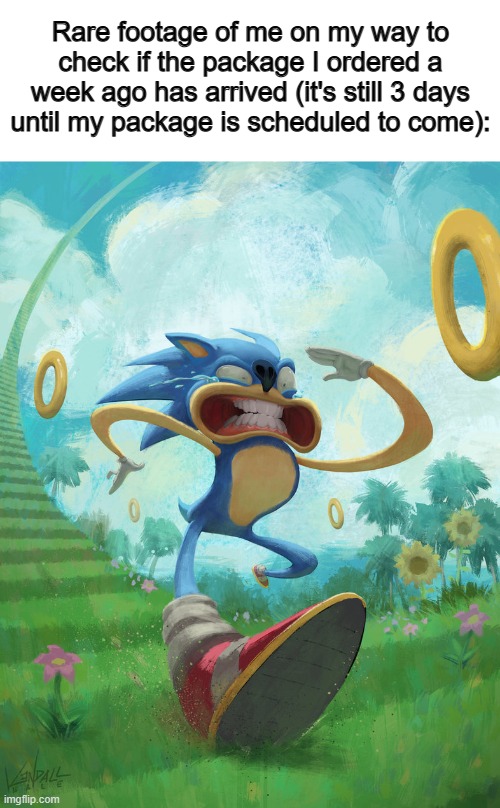 If my order contains something I'm excited for, then I'll spend half the day checking lol | Rare footage of me on my way to check if the package I ordered a week ago has arrived (it's still 3 days until my package is scheduled to come): | image tagged in run sonic | made w/ Imgflip meme maker