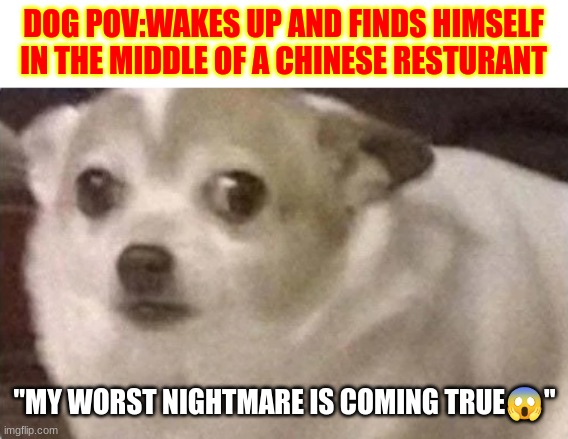 Dark humor (Read at your own risk) | DOG POV:WAKES UP AND FINDS HIMSELF IN THE MIDDLE OF A CHINESE RESTURANT; "MY WORST NIGHTMARE IS COMING TRUE😱" | image tagged in scared dog | made w/ Imgflip meme maker