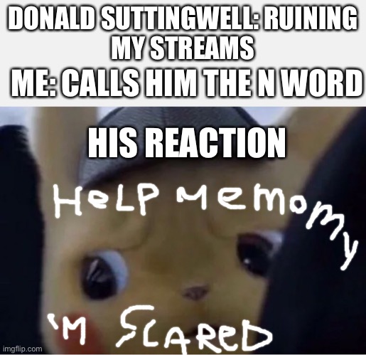 Detective Pikachu | DONALD SUTTINGWELL: RUINING
MY STREAMS; ME: CALLS HIM THE N WORD; HIS REACTION | image tagged in detective pikachu | made w/ Imgflip meme maker