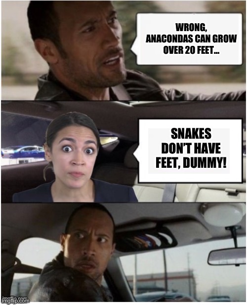 WRONG, ANACONDAS CAN GROW OVER 20 FEET…; SNAKES DON’T HAVE FEET, DUMMY! | image tagged in crazy aoc,anaconda,maga,republicans,donald trump,the rock driving | made w/ Imgflip meme maker