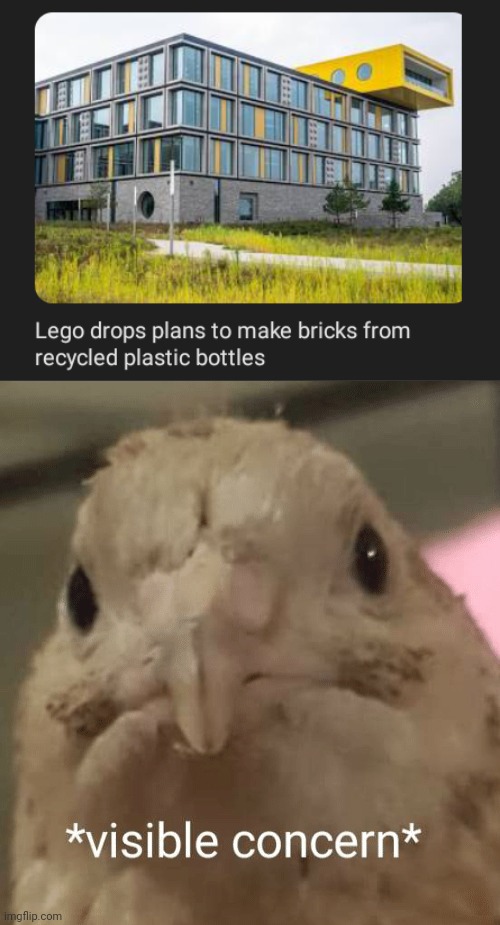Lego | image tagged in visible concern bird,lego,legos,memes,bricks,plastic bottles | made w/ Imgflip meme maker