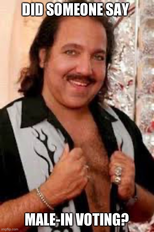 Ron Jeremy | DID SOMEONE SAY MALE-IN VOTING? | image tagged in ron jeremy | made w/ Imgflip meme maker