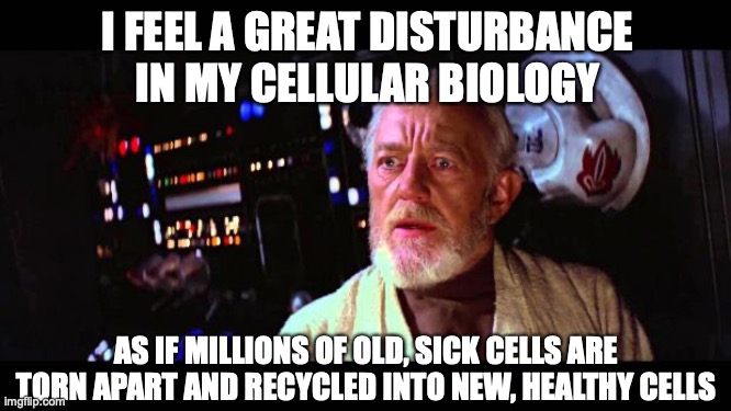 Obi Wan Autophagy Keto | I FEEL A GREAT DISTURBANCE IN MY CELLULAR BIOLOGY; AS IF MILLIONS OF OLD, SICK CELLS ARE TORN APART AND RECYCLED INTO NEW, HEALTHY CELLS | image tagged in obi wan million voices | made w/ Imgflip meme maker
