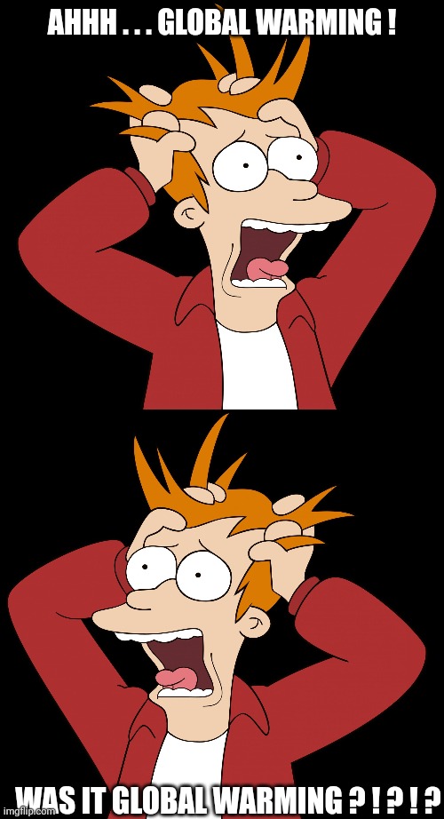 AHHH . . . GLOBAL WARMING ! WAS IT GLOBAL WARMING ? ! ? ! ? | image tagged in futurama fry screaming | made w/ Imgflip meme maker