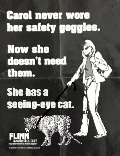 Seeing-Eye Cat | image tagged in blind,funny,cats,tiger | made w/ Imgflip meme maker