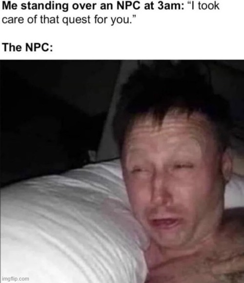 npc | image tagged in quest,fallout,skyrim | made w/ Imgflip meme maker