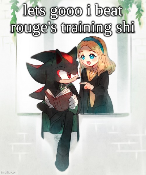 now i have to rob a store :) | lets gooo i beat rouge's training shi | image tagged in harry potter version | made w/ Imgflip meme maker