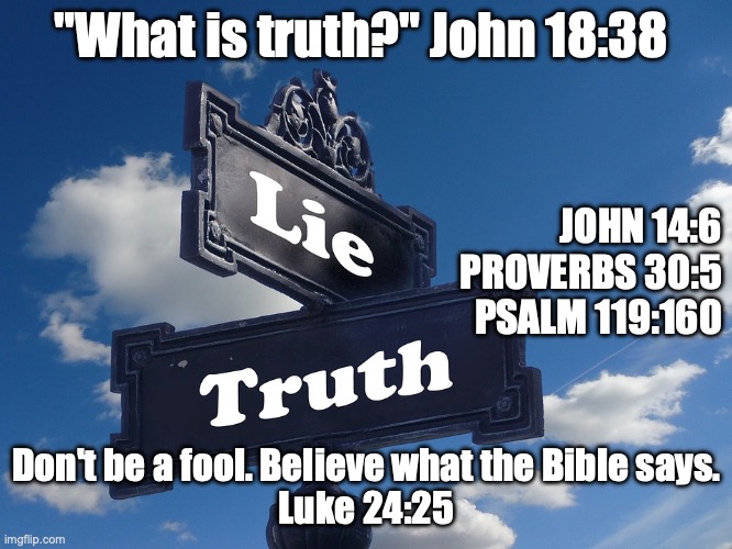 The Whole Truth & Nothing But The Truth | "What is truth?" John 18:38; JOHN 14:6
PROVERBS 30:5
PSALM 119:160; Don't be a fool. Believe what the Bible says.
Luke 24:25 | image tagged in god is not a man that he should lie,the devil is a liar | made w/ Imgflip meme maker