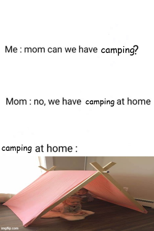 Okay pack your bags! *walks 0.001 miles* We're here! | camping; camping; camping | image tagged in can we have no we have at home at home | made w/ Imgflip meme maker