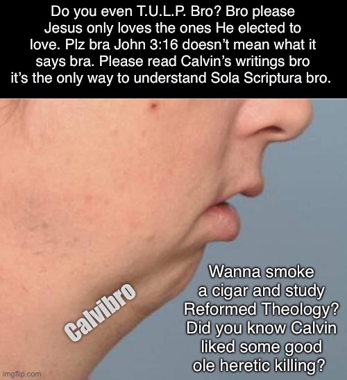 Calvibro Calvinist | Do you even T.U.L.P. Bro? Bro please Jesus only loves the ones He elected to love. Plz bra John 3:16 doesn’t mean what it says bra. Please read Calvin’s writings bro it’s the only way to understand Sola Scriptura bro. Wanna smoke a cigar and study Reformed Theology? Did you know Calvin liked some good ole heretic killing? Calvibro | image tagged in christianity,theology,calvinism,arminianism,predestination | made w/ Imgflip meme maker