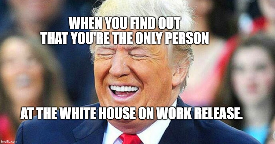 Donald Trump laughing | WHEN YOU FIND OUT THAT YOU'RE THE ONLY PERSON; AT THE WHITE HOUSE ON WORK RELEASE. | image tagged in donald trump laughing | made w/ Imgflip meme maker