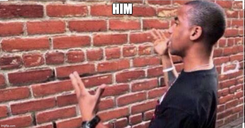 Guy looking at brick wall | HIM | image tagged in guy looking at brick wall | made w/ Imgflip meme maker