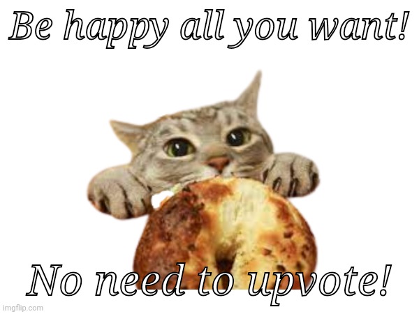 No need to upvote or follow! | Be happy all you want! No need to upvote! | image tagged in cute,cat,wholesome | made w/ Imgflip meme maker