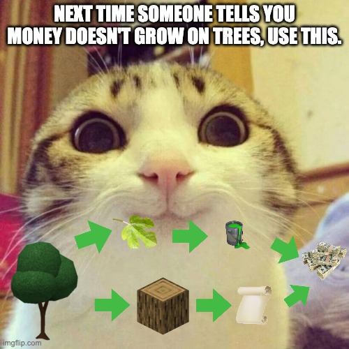 and remember- it's the thought that counts | NEXT TIME SOMEONE TELLS YOU MONEY DOESN'T GROW ON TREES, USE THIS. | image tagged in memes,smiling cat | made w/ Imgflip meme maker