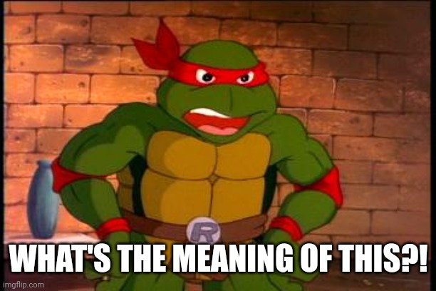 Angry Raphael | WHAT'S THE MEANING OF THIS?! | image tagged in angry raphael | made w/ Imgflip meme maker