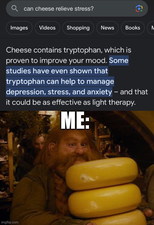 Just for stress | ME: | image tagged in stress,school,the hobbit,bombur | made w/ Imgflip meme maker