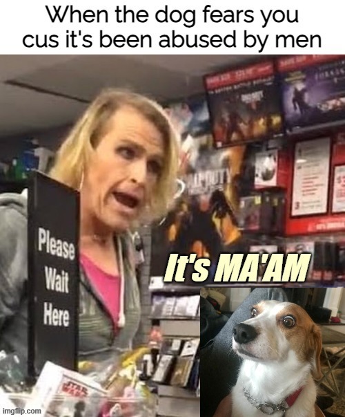 Made a comedic edit :) | image tagged in it's ma'am,funny,funny animal,funny dogs | made w/ Imgflip meme maker