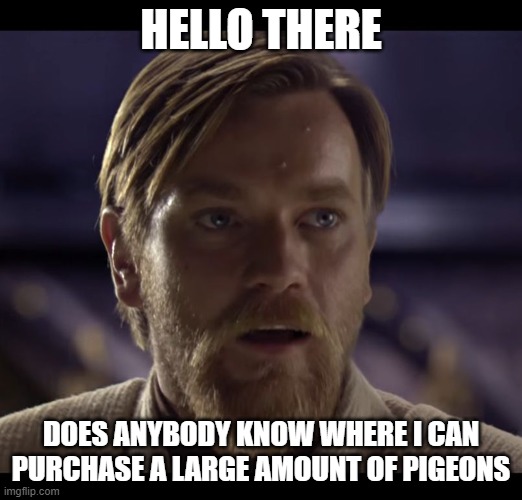 Hello there | HELLO THERE; DOES ANYBODY KNOW WHERE I CAN PURCHASE A LARGE AMOUNT OF PIGEONS | image tagged in hello there | made w/ Imgflip meme maker