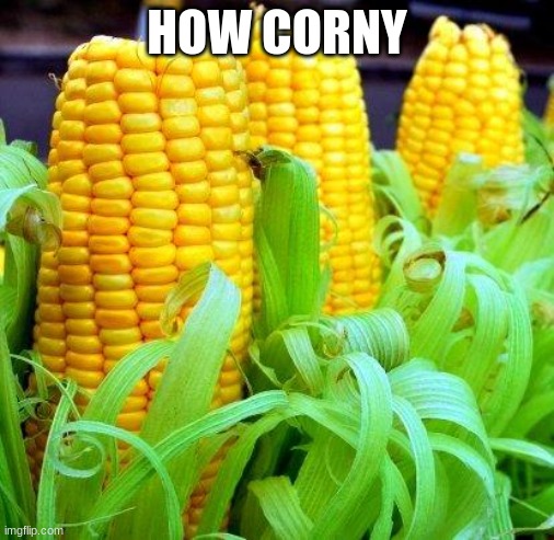 CORN meme | HOW CORNY | image tagged in corn meme | made w/ Imgflip meme maker