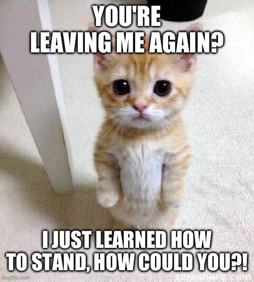 Cute Cat | YOU'RE LEAVING ME AGAIN? I JUST LEARNED HOW TO STAND, HOW COULD YOU?! | image tagged in memes,cute cat | made w/ Imgflip meme maker
