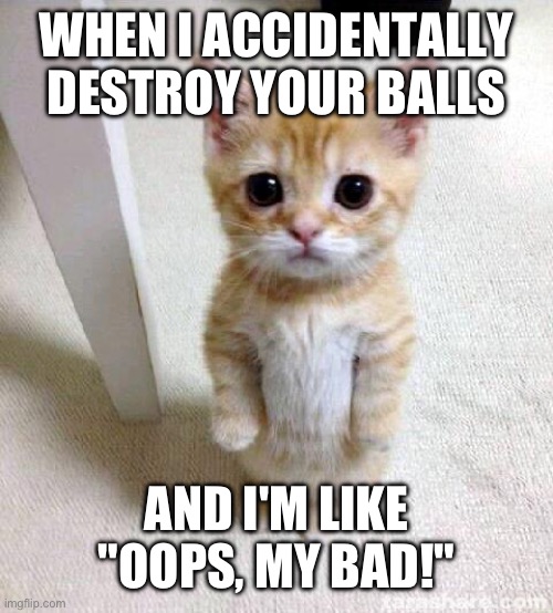 Cute Cat | WHEN I ACCIDENTALLY DESTROY YOUR BALLS; AND I'M LIKE "OOPS, MY BAD!" | image tagged in memes,cute cat | made w/ Imgflip meme maker