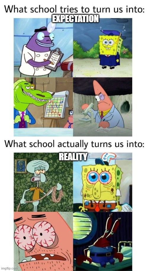 I'm just saying the truth | EXPECTATION; REALITY | image tagged in school,spongebob | made w/ Imgflip meme maker