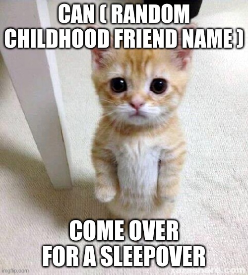 Cute Cat | CAN ( RANDOM CHILDHOOD FRIEND NAME ); COME OVER FOR A SLEEPOVER | image tagged in memes,cute cat | made w/ Imgflip meme maker