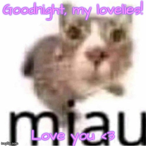 miau | Goodnight, my lovelies! Love you <3 | image tagged in miau,lovelies | made w/ Imgflip meme maker