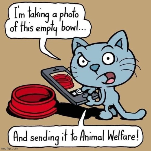 My Cat Mewford did try to call them. Glad he can't speak English | image tagged in vince vance,cats,memes,comics/cartoons,cat food,meow | made w/ Imgflip meme maker