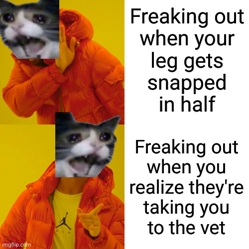 "Shatter my bones, just don't put me into that crate!!!!!" --cat logic | Freaking out
when your
leg gets
snapped
in half; Freaking out
when you
realize they're
taking you
to the vet | image tagged in memes,drake hotline bling | made w/ Imgflip meme maker