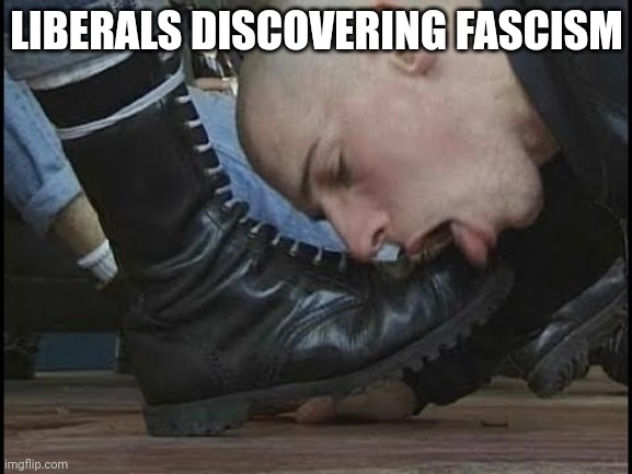 Boot Licker | LIBERALS DISCOVERING FASCISM | image tagged in boot licker | made w/ Imgflip meme maker