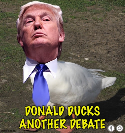 Trump Duck | DONALD DUCKS ANOTHER DEBATE | image tagged in trump duck | made w/ Imgflip meme maker