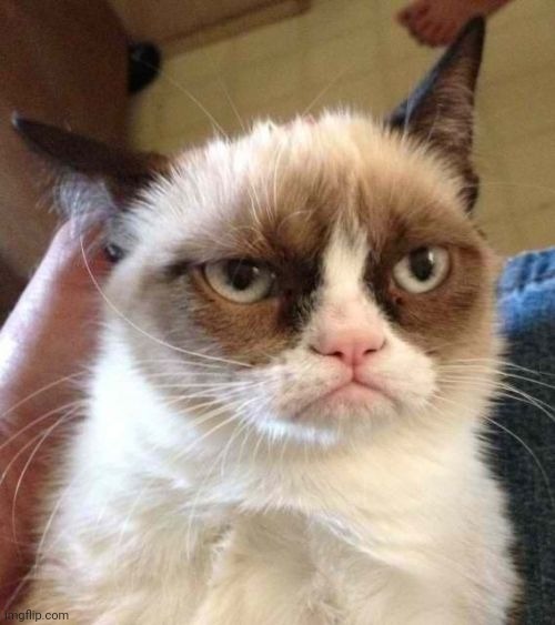 Grumpy Cat Reverse Meme | image tagged in memes,grumpy cat reverse,grumpy cat | made w/ Imgflip meme maker