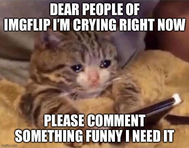 Please | DEAR PEOPLE OF IMGFLIP I’M CRYING RIGHT NOW; PLEASE COMMENT SOMETHING FUNNY I NEED IT | image tagged in sad,memes | made w/ Imgflip meme maker