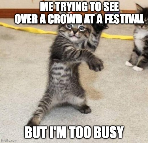 Me trying | ME TRYING TO SEE OVER A CROWD AT A FESTIVAL; BUT I'M TOO BUSY | image tagged in cats,funny cat memes,epic | made w/ Imgflip meme maker