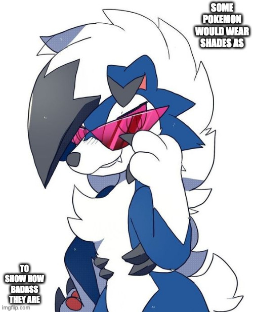 Shiny Midnight Lycanroc With Shades | SOME POKEMON WOULD WEAR SHADES AS; TO SHOW HOW BADASS THEY ARE | image tagged in pokemon,lycanroc,memes | made w/ Imgflip meme maker