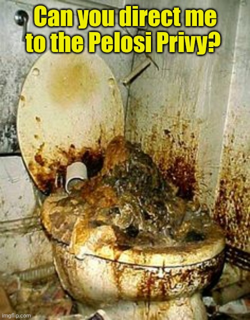 Public Bathroom | Can you direct me to the Pelosi Privy? | image tagged in public bathroom | made w/ Imgflip meme maker