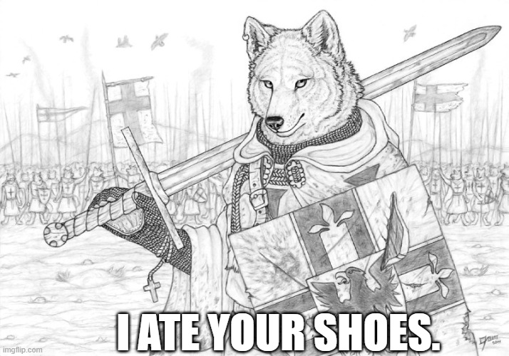 airplanes | I ATE YOUR SHOES. | image tagged in fursader | made w/ Imgflip meme maker