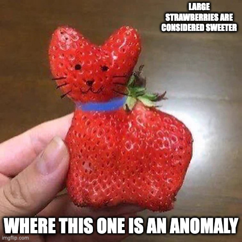 Cat-Shaped Strawberry | LARGE STRAWBERRIES ARE CONSIDERED SWEETER; WHERE THIS ONE IS AN ANOMALY | image tagged in strawberry,memes | made w/ Imgflip meme maker