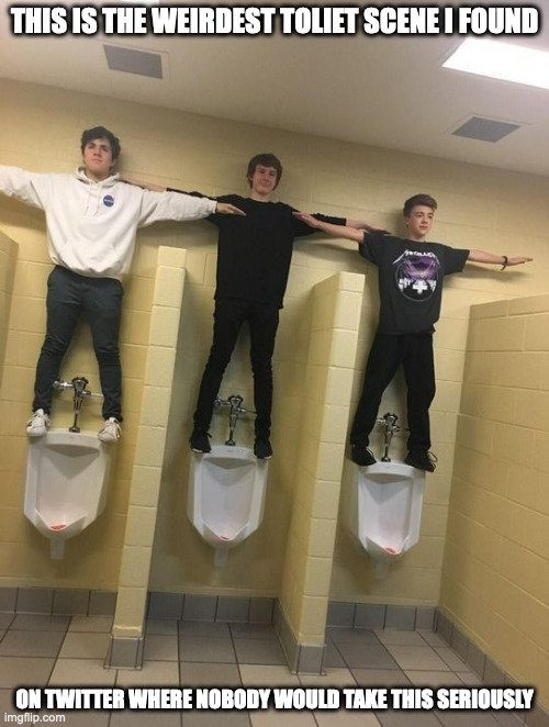 Boys Standing On Top of Urinals | THIS IS THE WEIRDEST TOLIET SCENE I FOUND; ON TWITTER WHERE NOBODY WOULD TAKE THIS SERIOUSLY | image tagged in urinal,memes | made w/ Imgflip meme maker