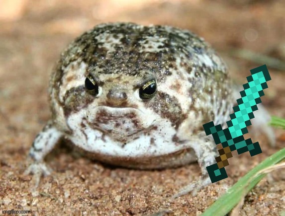 Froggo | image tagged in frog,cute,minecraft | made w/ Imgflip meme maker