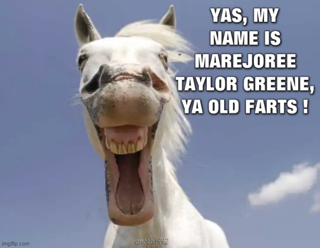 image tagged in marjorie taylor greene,mare,horse,maga morons,clown car republicans,georgia | made w/ Imgflip meme maker