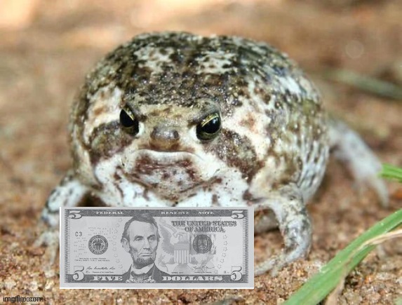 Froggo with $5 | image tagged in froggo,dragonz | made w/ Imgflip meme maker