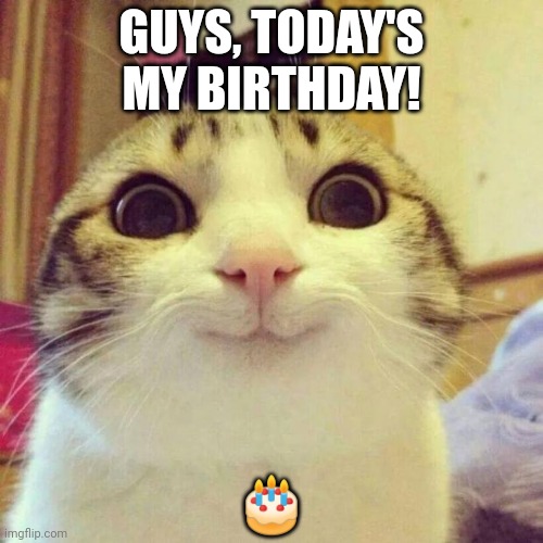 Its finally my birthday :) | GUYS, TODAY'S MY BIRTHDAY! 🎂 | image tagged in memes,smiling cat,dragonz,cake,happy birthday | made w/ Imgflip meme maker