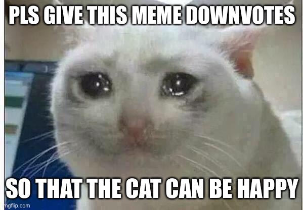 Pls downvotes | PLS GIVE THIS MEME DOWNVOTES; SO THAT THE CAT CAN BE HAPPY | image tagged in crying cat,grass,memes,sleeping shaq,drake hotline bling,asian | made w/ Imgflip meme maker