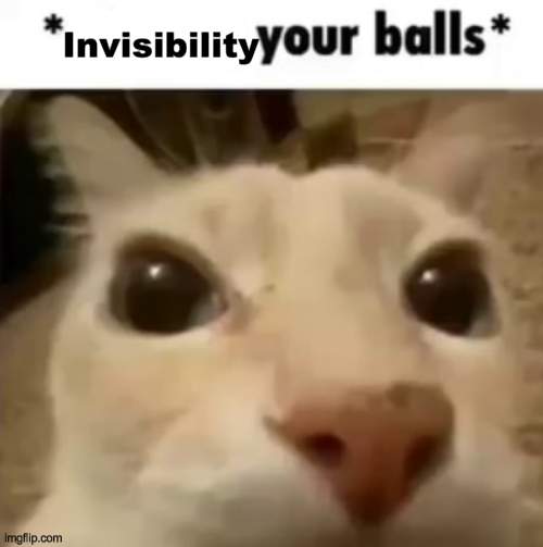 ... | Invisibility | image tagged in x your balls | made w/ Imgflip meme maker