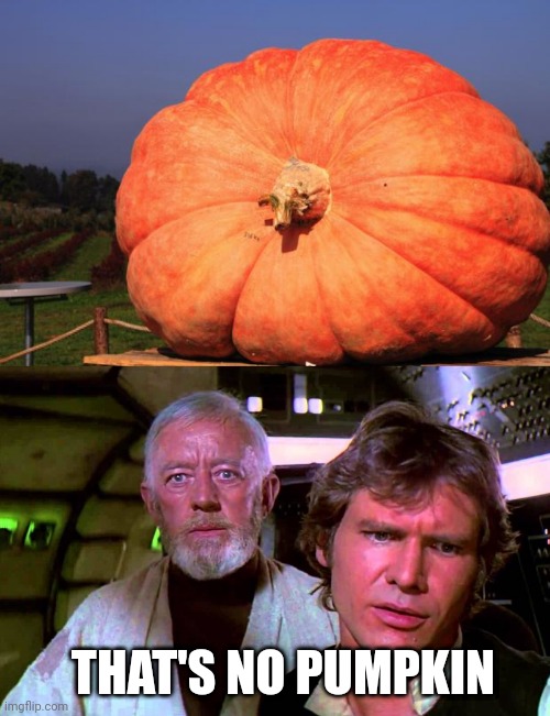 THAT'S NO PUMPKIN | image tagged in giant pumpkin,obi wan that's no moon | made w/ Imgflip meme maker