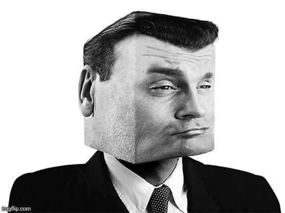 Square Head | image tagged in square head | made w/ Imgflip meme maker