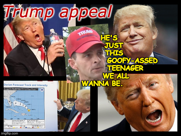 Spoiled rich boy charisma, half the intelligence. | Trump appeal; HE'S                    
JUST                  
THIS                  
GOOFY-ASSED      
TEENAGER           
WE ALL                
WANNA BE. | image tagged in memes,trump appeal,class clown | made w/ Imgflip meme maker